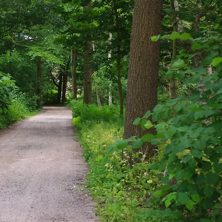 Buelow Gm 69131 * Muritz